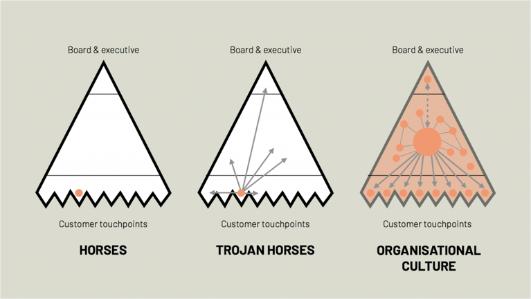 Horses, Trojan horses and organisational culture